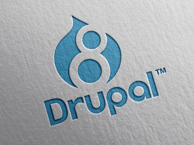 Drupal web development